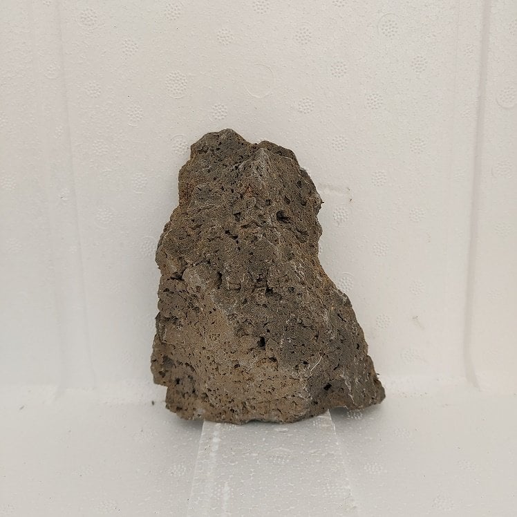 Black Lava Rock - Mini Boy