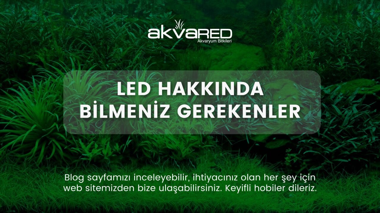 LED Hakkında Bilmeniz Gerekenler