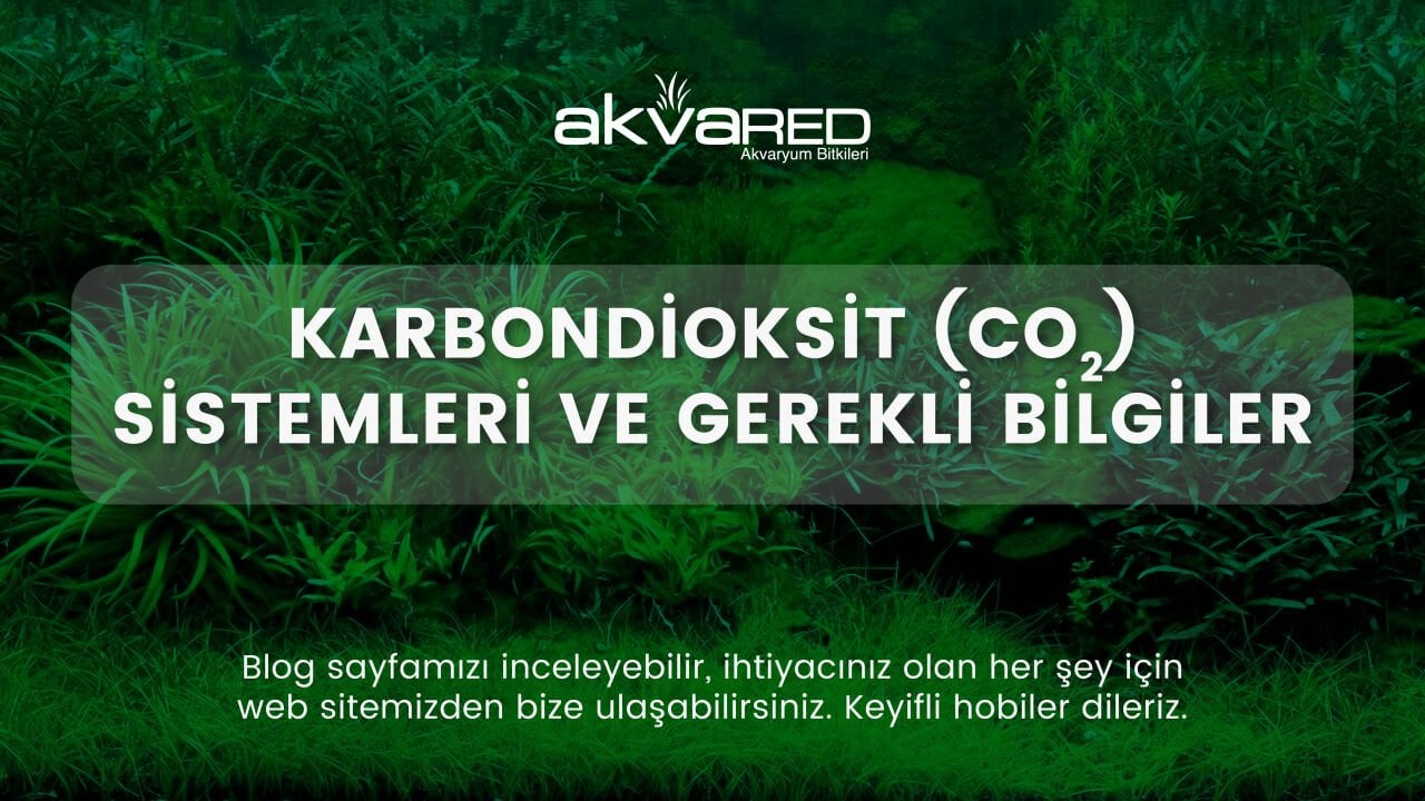 Karbondioksit (CO2) Sistemleri ve Gerekli Bilgiler