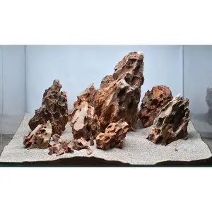 Aqua Boutique Dragon Stone XS BOY