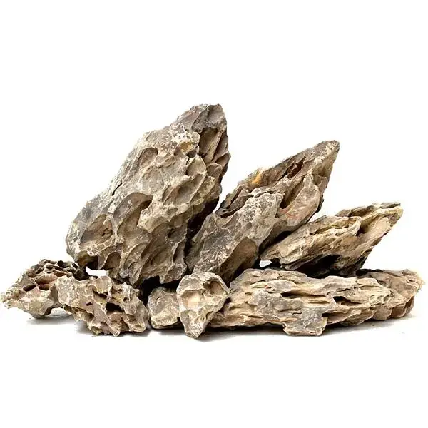 Aqua Boutique Dragon Stone S BOY