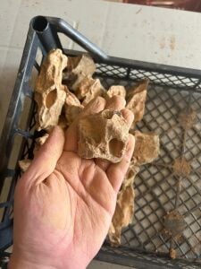 Aqua Boutique Dragon Stone S BOY