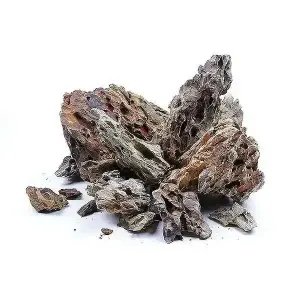 Aqua Boutique Dragon Stone M BOY