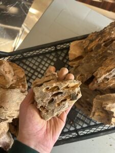 Aqua Boutique Dragon Stone M BOY