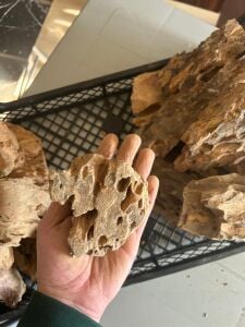 Aqua Boutique Dragon Stone M BOY