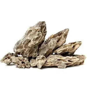 Aqua Boutique Dragon Stone L BOY