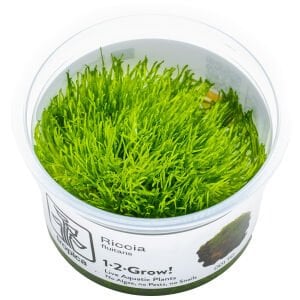 Tropica - Riccia fluitans 1-2 Grow!