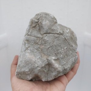 Old Stone - XL Boy