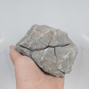 Old Stone - L Boy