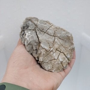 Old Stone - L Boy