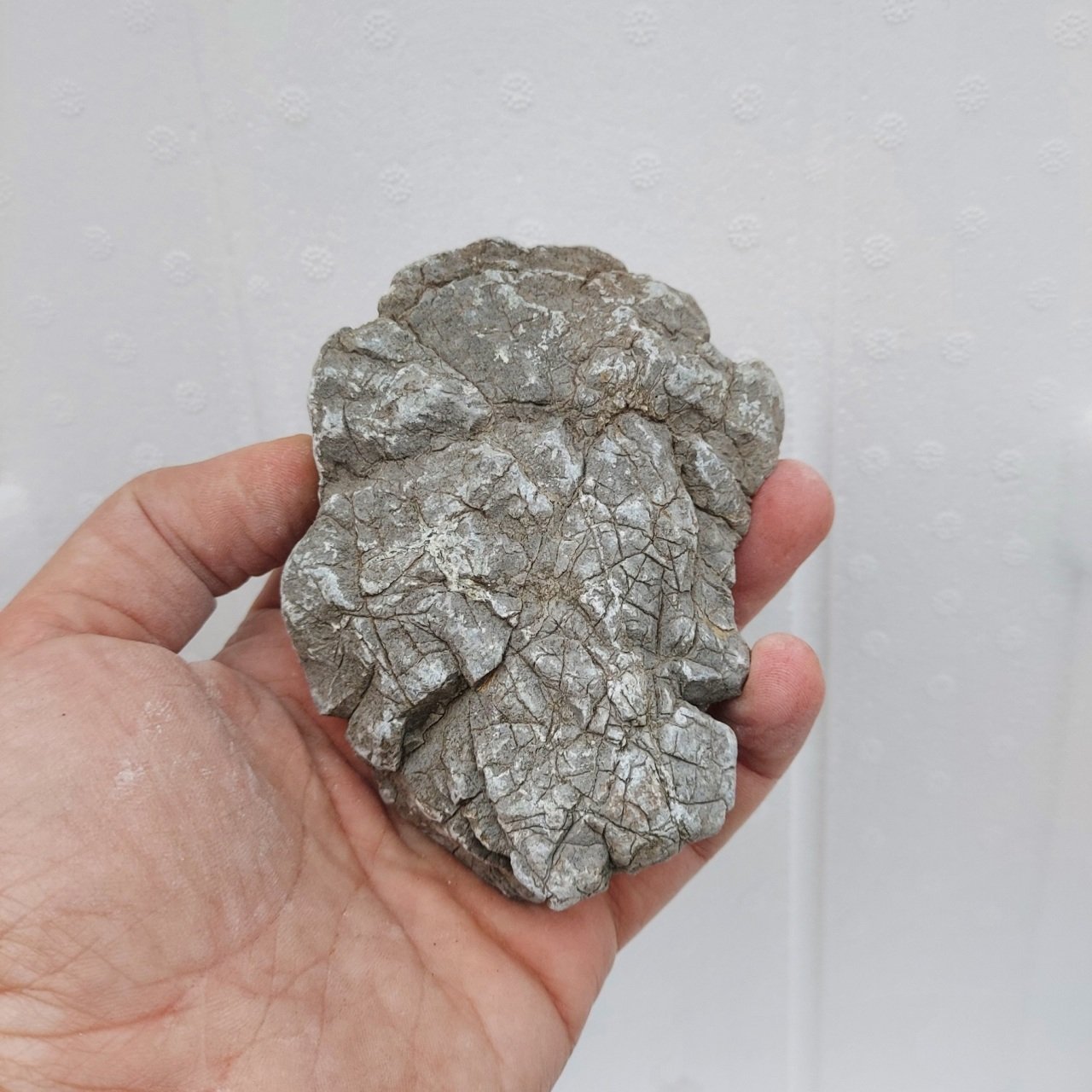 Old Stone - S Boy