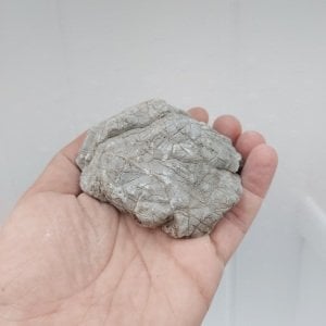 Old Stone - S Boy
