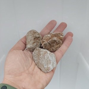 Old Stone - XS Boy