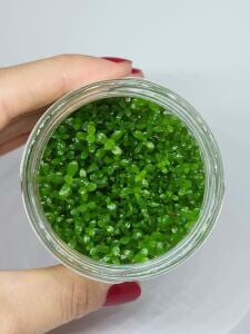 Bacopa compact IN VITRO JAR (KAVANOZ)