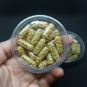 Lab Formula STARTER 25 CAPSULE Kapsül Gübre