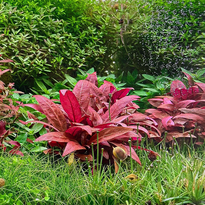 Test ürünüdür. Silmeyiniz ve satın almayınız.Test ürünüdür. Silmeyiniz ve satın almayınız.