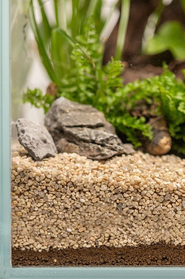 Dennerle Plants SUBSTRATE 2,5Litre Gübreli Toprak