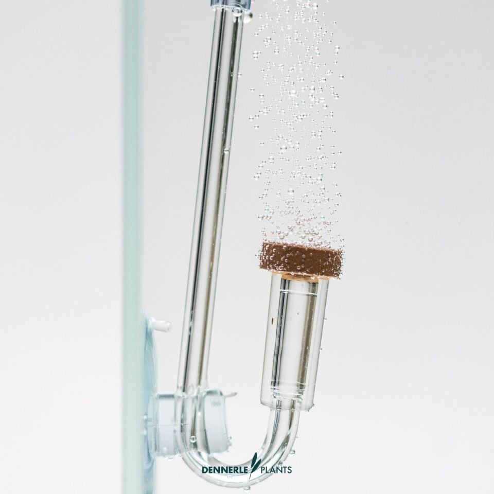Dennerle Plants CO2 DIFFUSOR Difüzör