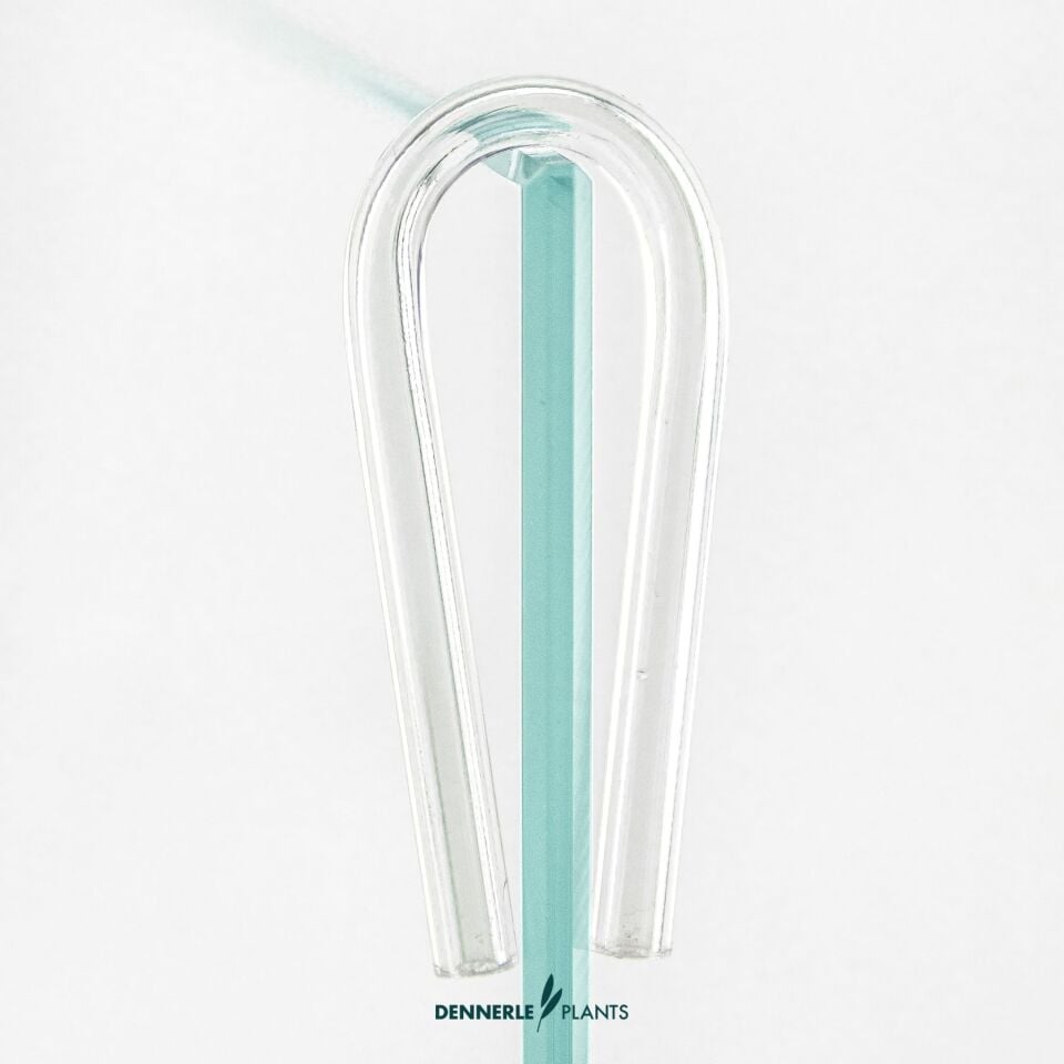 Dennerle Plants CO2 DIFFUSOR Difüzör