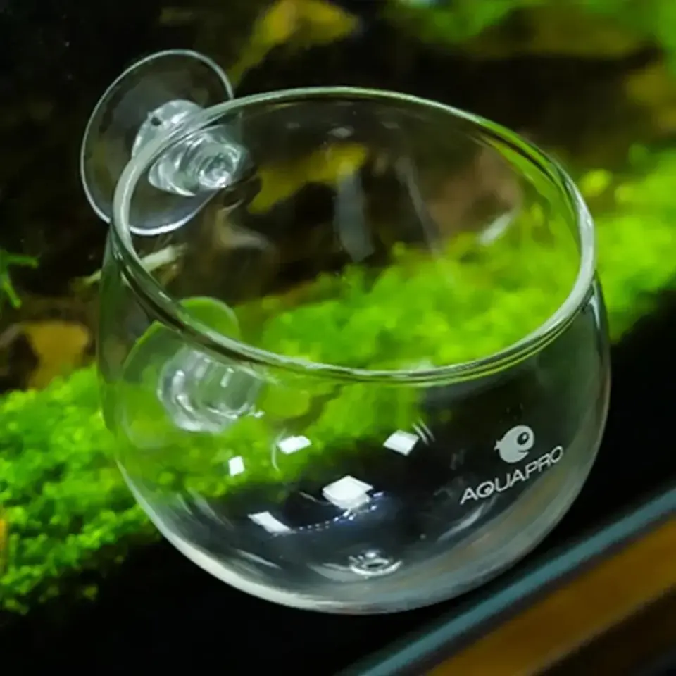 AQUAPRO Glass Plant Pot Cam Bitki Saksısı