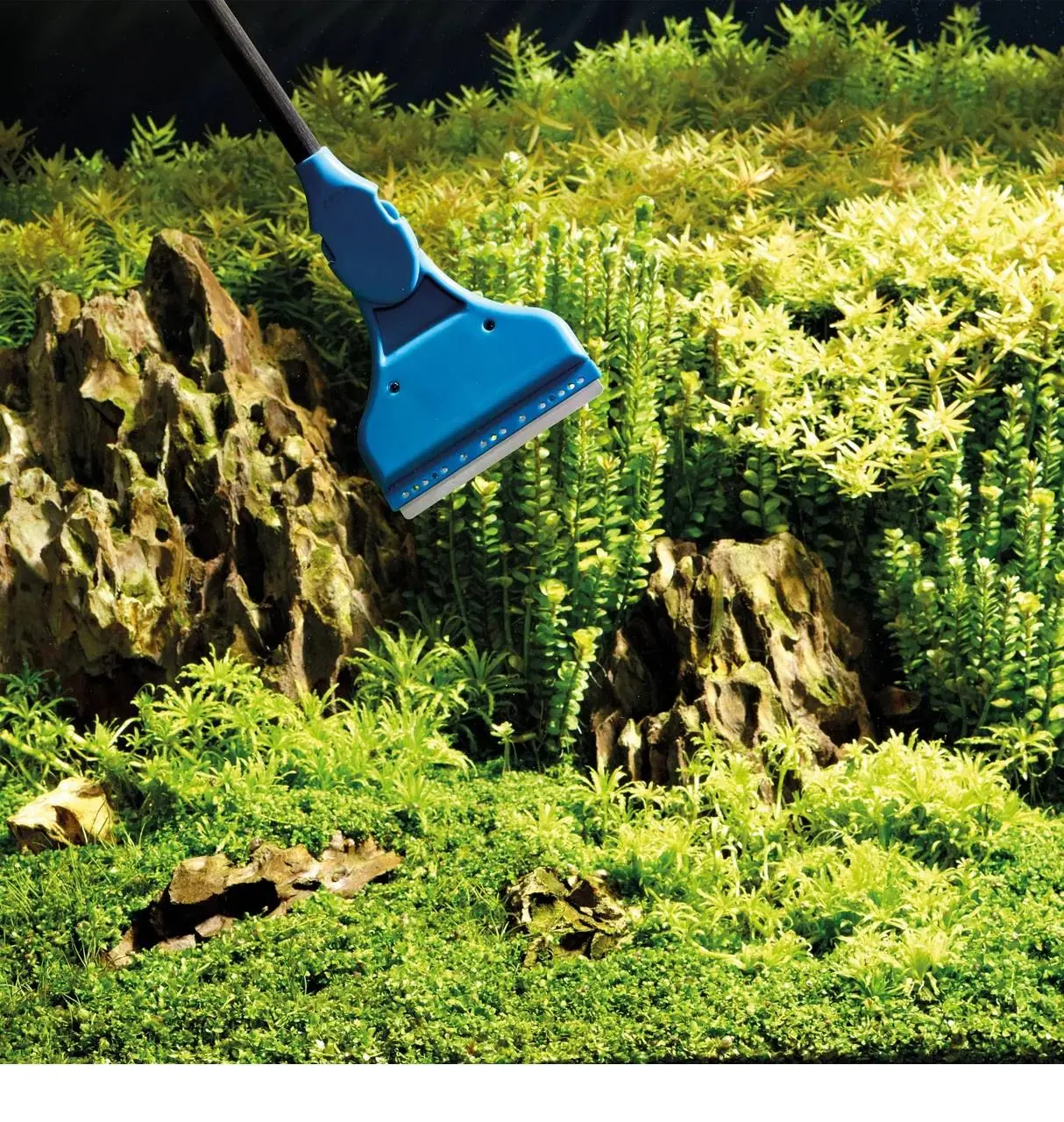 OASE Akvaryum Cam Kazıyıcı