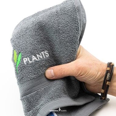 Dennerle Plants Gray Towel (Havlu)