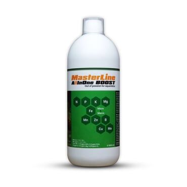 MasterLine All In One BOOST (1000 ml)