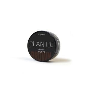 Plantie