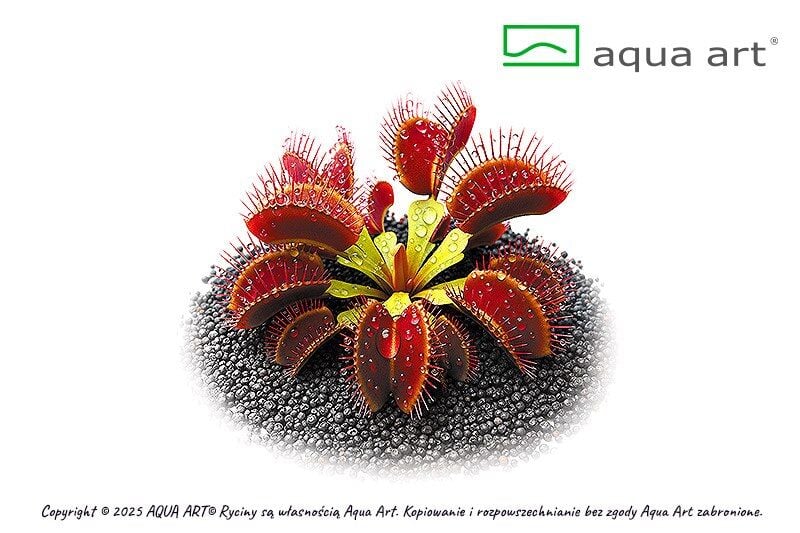 VIVO VERDE Dionaea muscipula Ring ÖN SİPARİŞ