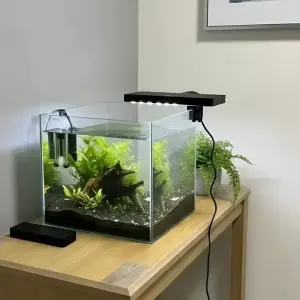 Creaqua Nano Elite Black Led Aydınlatma