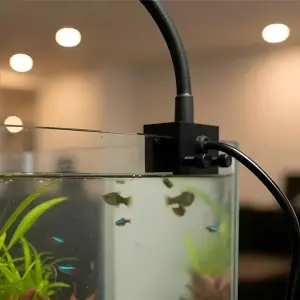 Creaqua Nano Elite Black Led Aydınlatma