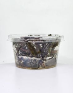 Cryptocoryne nurii IN VITRO CUP